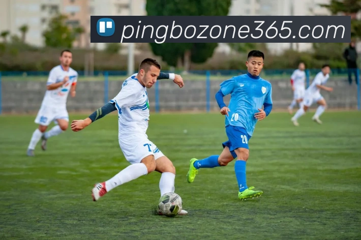 App Interface Preview